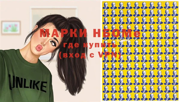 дживик Верхний Тагил