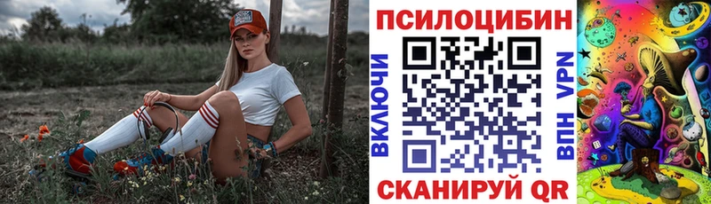 Галлюциногенные грибы MAGIC MUSHROOMS  Купить где  Новомичуринск 